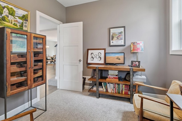 7465 Glengarry Pl, Eden Prairie, MN 55344 - home office with carpet flooring