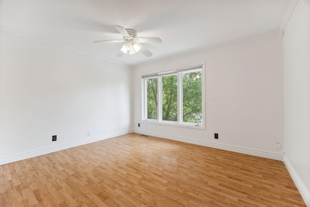 16410 15th Ave N, Plymouth, MN 55447 - photo 14