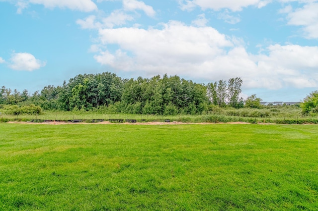 8472 151st Ln NW, Ramsey, MN 55303 - view of grassy yard