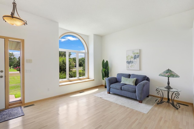 20736 196th Ave NW, Big Lake Twp, MN 55309 - living area featuring light wood finished floors and baseboards