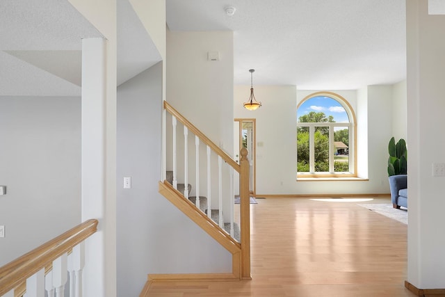 20736 196th Ave NW, Big Lake Twp, MN 55309 - foyer entrance with wood finished floors, stairs, and baseboards
