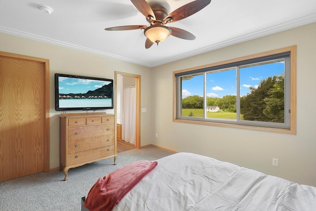 20736 196th Ave NW, Big Lake Twp, MN 55309 - bedroom with light colored carpet, baseboards, and a ceiling fan