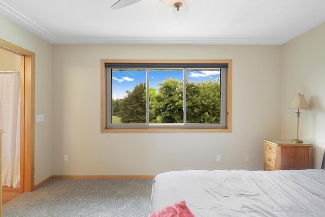 20736 196th Ave NW, Big Lake Twp, MN 55309 - carpeted bedroom with baseboards and ceiling fan