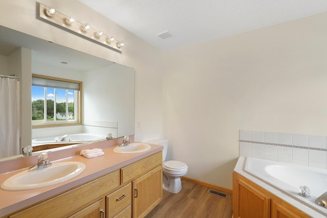 20736 196th Ave NW, Big Lake Twp, MN 55309 - bathroom featuring a bath, wood finished floors, toilet, and double vanity