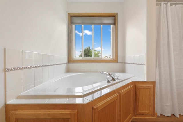 20736 196th Ave NW, Big Lake Twp, MN 55309 - bathroom with a bath