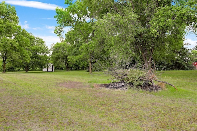 20736 196th Ave NW, Big Lake Twp, MN 55309 - view of green lawn