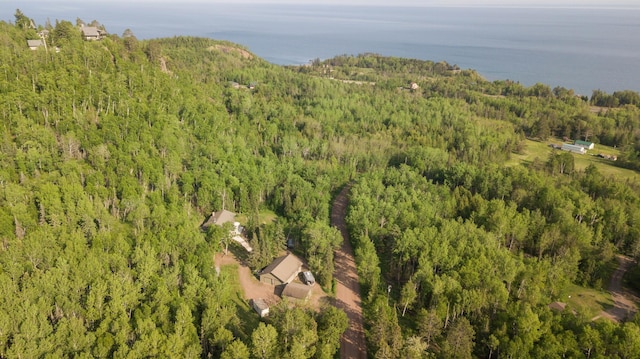 1928 Loop Rd, Two Harbors, MN 55616 - bird's eye view of a forest