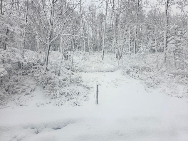 1928 Loop Rd, Two Harbors, MN 55616 - snowy yard featuring a forest view
