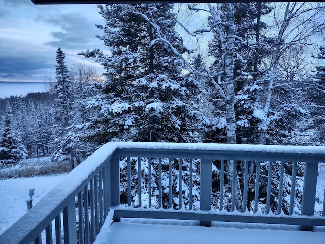 1928 Loop Rd, Two Harbors, MN 55616 - view of snow covered back of property
