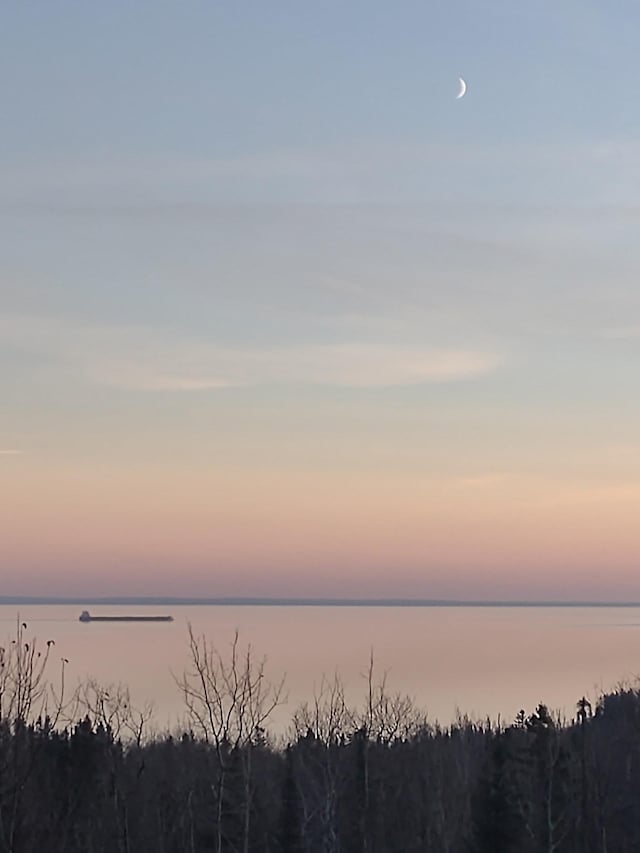1928 Loop Rd, Two Harbors, MN 55616 - water view featuring a forest