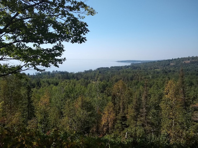 1928 Loop Rd, Two Harbors, MN 55616 - view of wooded area