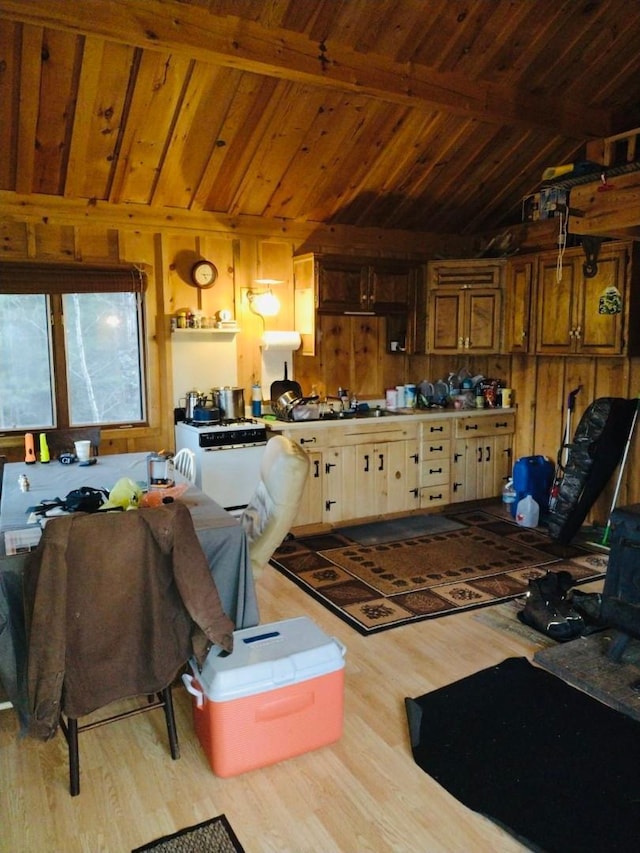 TBD Echo Trl, Greenwood Twp, MN 55771 - kitchen with light wood-style floors, wooden walls, and wood ceiling