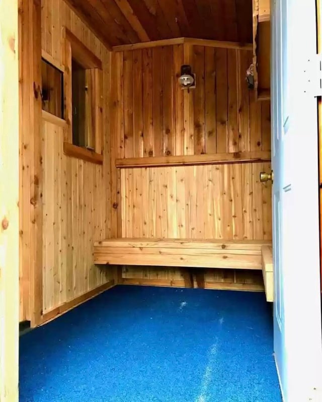 TBD Echo Trl, Greenwood Twp, MN 55771 - sauna featuring carpet floors, wood walls, and wood ceiling