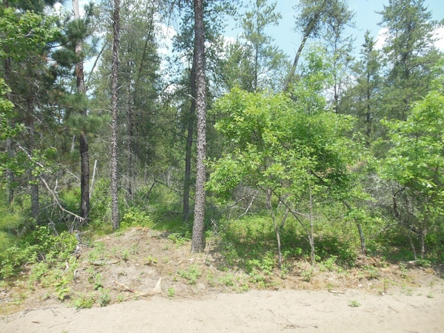 11775 Forestview Dr, Baxter, MN 56425 - photo 10