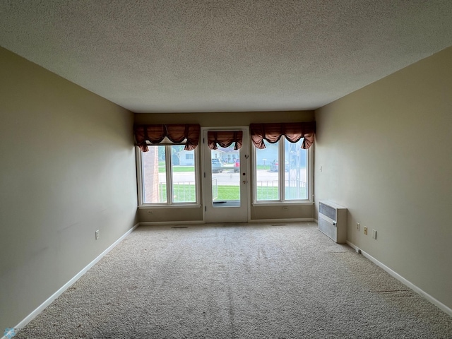 2711 12th St S Unit A2, Fargo, ND 58103 - carpeted empty room featuring plenty of natural light and a textured ceiling