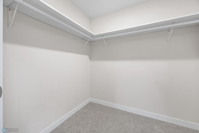 11763 230th St N, Keene Twp, MN 56549 - walk in closet featuring carpet floors