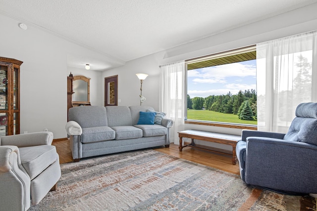 17000 Jackal St NW, Ramsey, MN 55303 - living room featuring wood finished floors