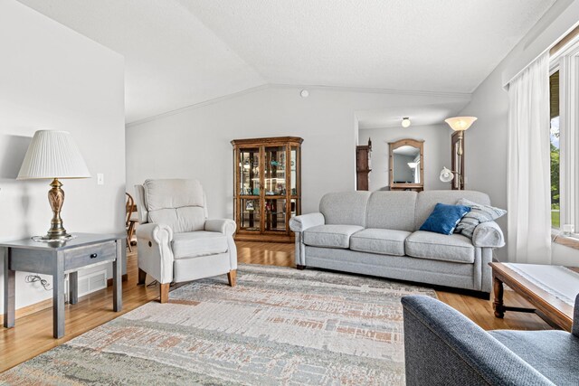 17000 Jackal St NW, Ramsey, MN 55303 - living room with lofted ceiling and wood finished floors