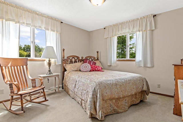 17000 Jackal St NW, Ramsey, MN 55303 - bedroom featuring multiple windows and light colored carpet