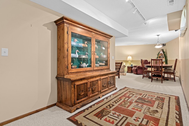 17000 Jackal St NW, Ramsey, MN 55303 - corridor featuring light colored carpet and rail lighting