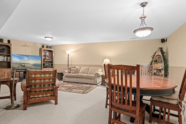 17000 Jackal St NW, Ramsey, MN 55303 - carpeted dining room featuring a textured ceiling