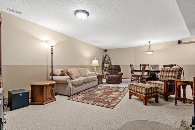 17000 Jackal St NW, Ramsey, MN 55303 - living room featuring carpet floors and a textured ceiling