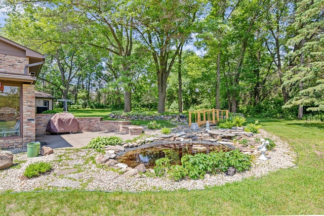 17000 Jackal St NW, Ramsey, MN 55303 - view of green lawn featuring a patio and a small pond