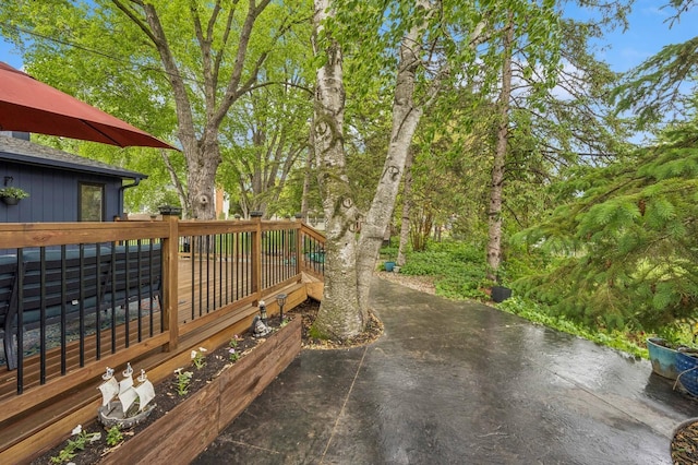 2500 Ensign Ave N, Golden Valley, MN 55427 - wooden terrace with a patio