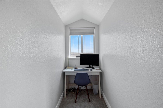 1702 Lakeshore Dr Unit 3, Lake City, MN 55041 - office area with a textured wall, vaulted ceiling, carpet, and a textured ceiling