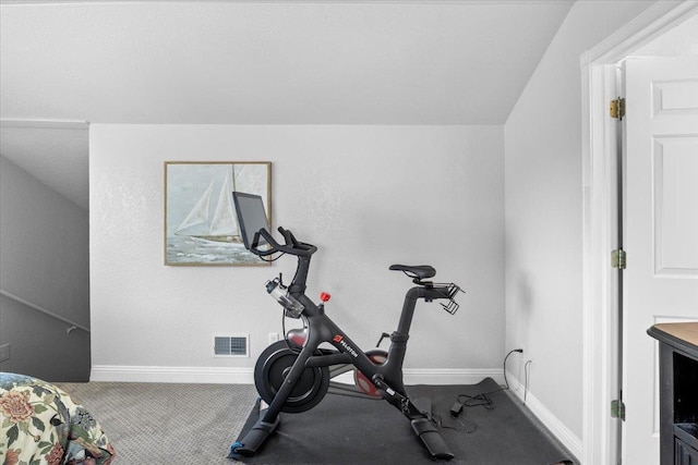 1702 Lakeshore Dr Unit 3, Lake City, MN 55041 - workout room with baseboards and carpet