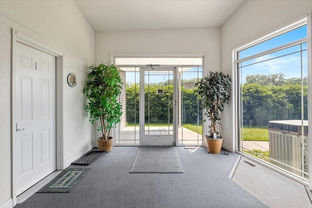 1702 Lakeshore Dr Unit 3, Lake City, MN 55041 - doorway with carpet flooring