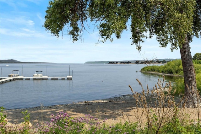 1702 Lakeshore Dr Unit 3, Lake City, MN 55041 - dock area with a water view