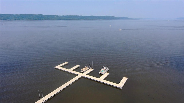 1702 Lakeshore Dr Unit 3, Lake City, MN 55041 - water view with a dock