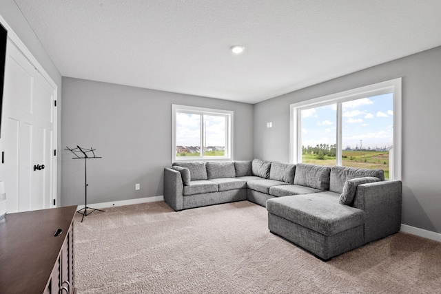 1401 142nd Ct E, Rosemount, MN 55068 - living area with carpet and baseboards