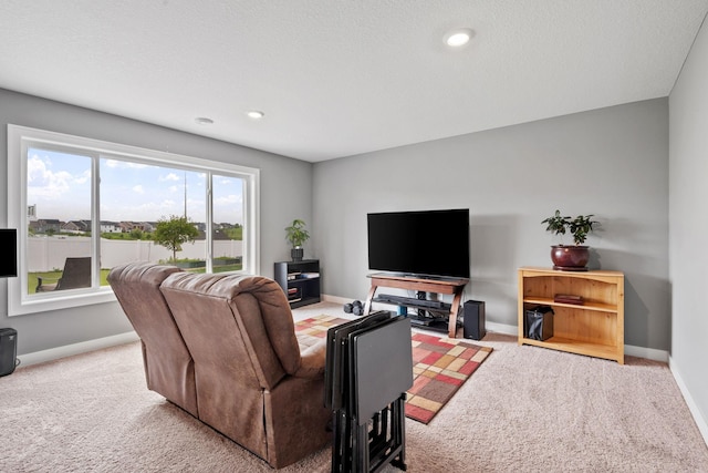 1401 142nd Ct E, Rosemount, MN 55068 - living room featuring baseboards, carpet, and recessed lighting