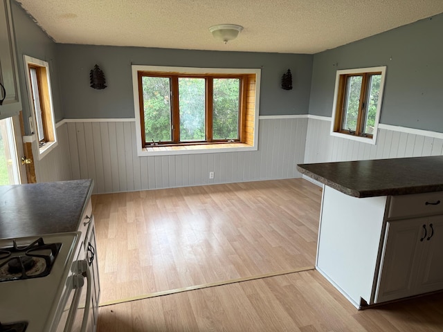 110 9th Ave NE, Deer River, MN 56636 - unfurnished dining area featuring wainscoting, light wood-style flooring, and a textured ceiling