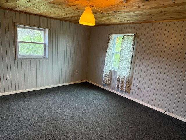 110 9th Ave NE, Deer River, MN 56636 - unfurnished room featuring wooden ceiling, plenty of natural light, and carpet floors