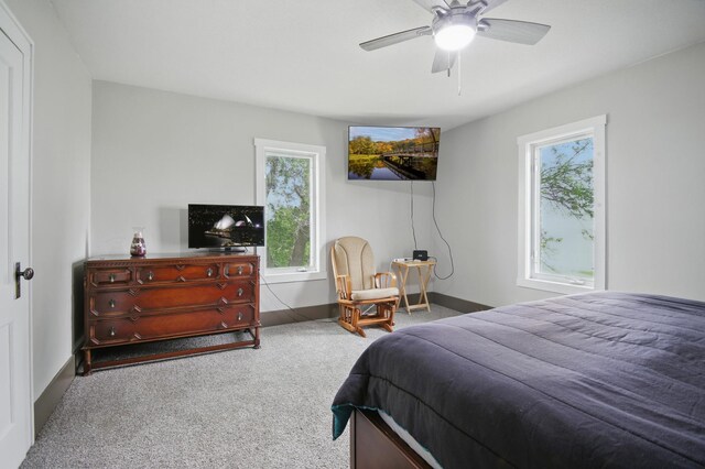 7107 Crane Creek Rd, Owatonna, MN 55060 - photo 21
