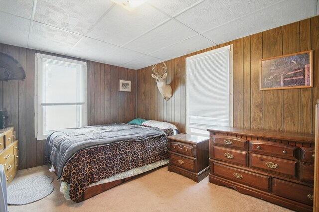 7107 Crane Creek Rd, Owatonna, MN 55060 - photo 25