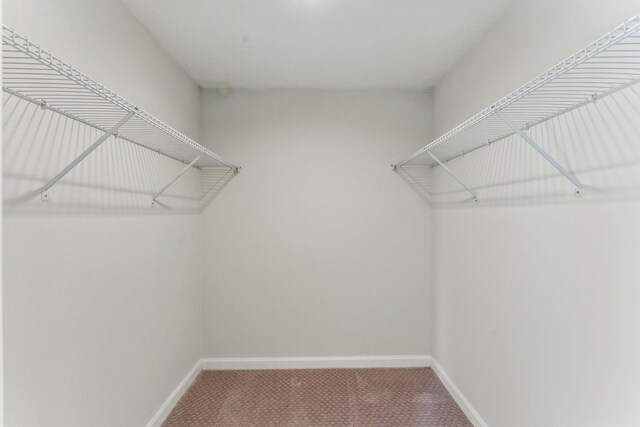 1032 Scheffer Ave, Saint Paul, MN 55102 - spacious closet featuring carpet