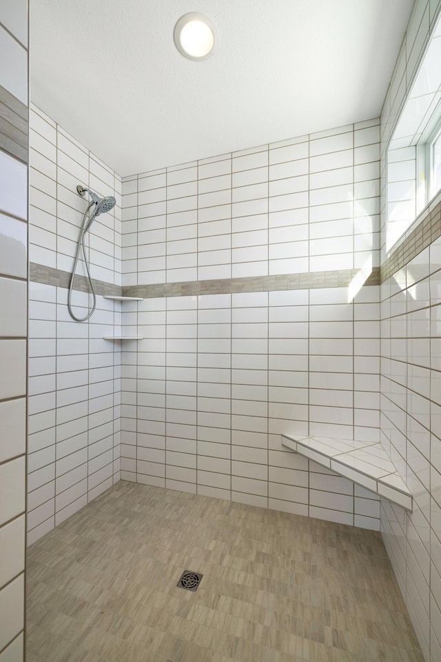 19648 104th Pl, Corcoran, MN 55374 - full bath featuring a tile shower