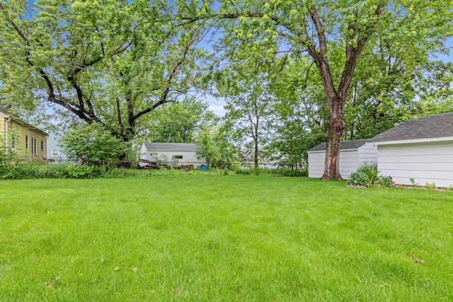148 5th Ave N, Hopkins, MN 55343 - view of green lawn