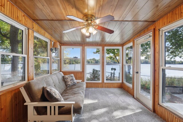 1060 Greer Ave NW, Albion Twp, MN 55358 - sunroom / solarium featuring wooden ceiling, a water view, plenty of natural light, wood walls, and carpet floors