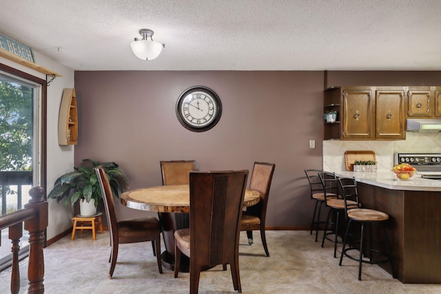 1060 Greer Ave NW, Albion Twp, MN 55358 - dining room with baseboards, a textured ceiling, and light flooring