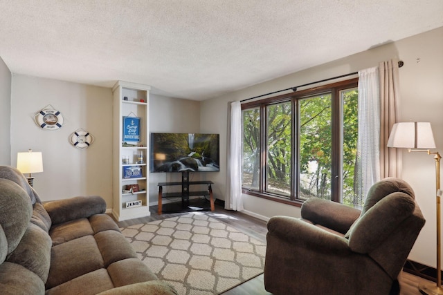 1060 Greer Ave NW, Albion Twp, MN 55358 - living room with light wood-style flooring, a textured ceiling, and baseboards