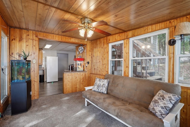 1060 Greer Ave NW, Albion Twp, MN 55358 - living area featuring healthy amount of natural light, wooden walls, a ceiling fan, wooden ceiling, and carpet flooring