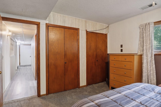 1060 Greer Ave NW, Albion Twp, MN 55358 - bedroom with carpet flooring, a textured ceiling, and two closets