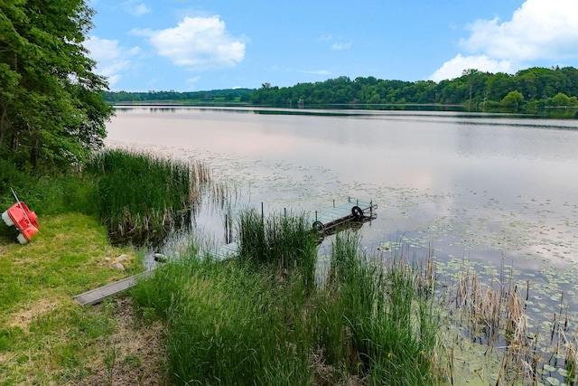 1060 Greer Ave NW, Albion Twp, MN 55358 - water view featuring a forest and a boat dock