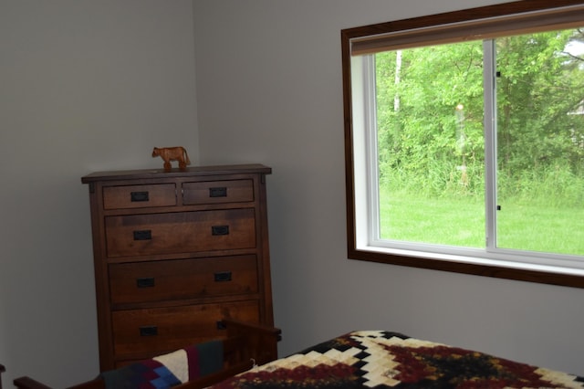 385 Maplewood Ct, Isle, MN 56342 - photo 21