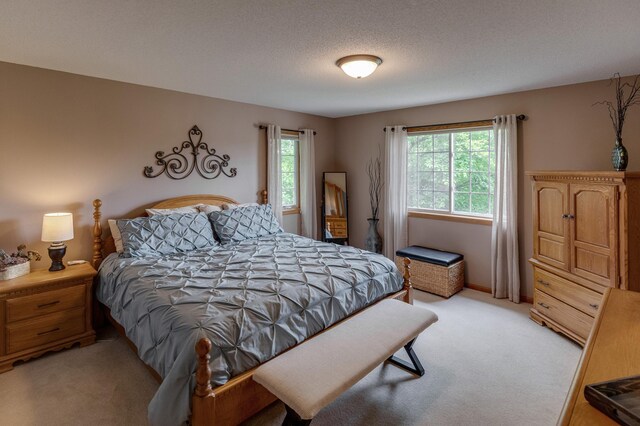 712 Falcon Ct, Sartell, MN 56377 - photo 35